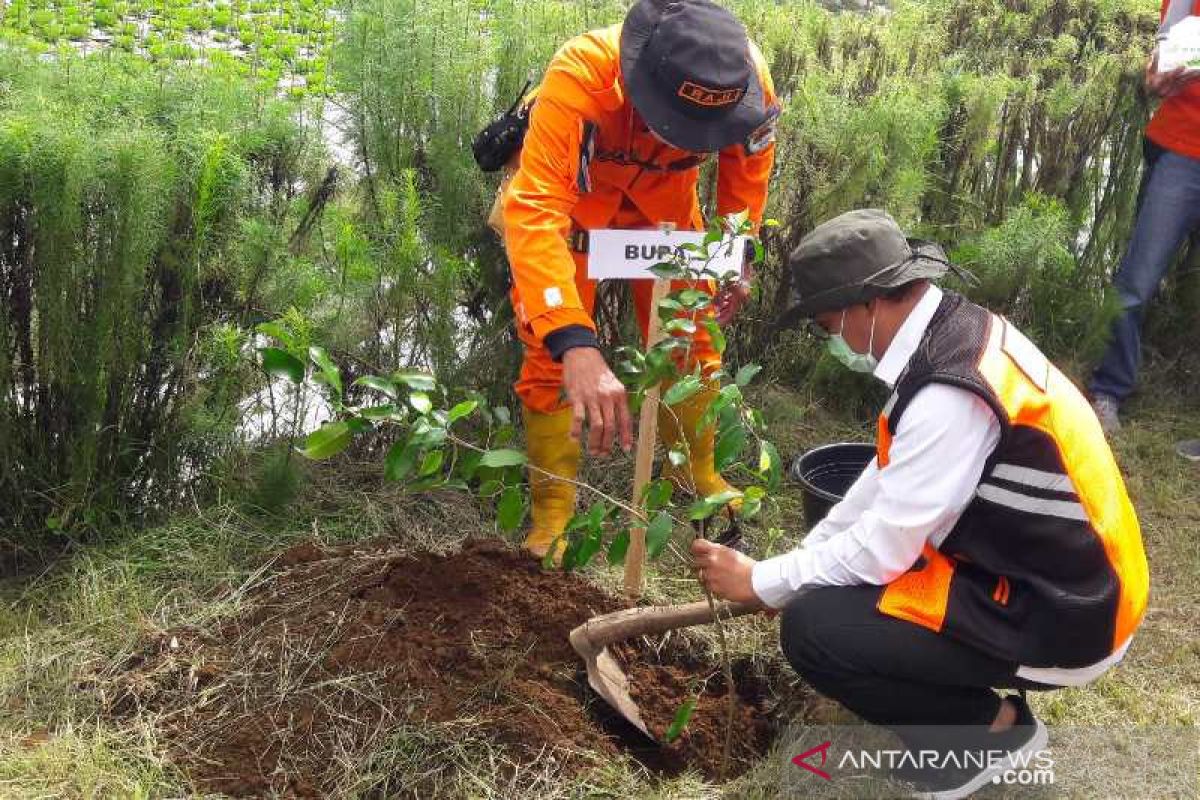 Gerakan Konservasi hijaukan lereng Gunung Sindoro dan Prau Temanggung