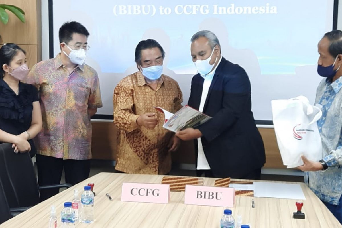 PT BIBU gaet investor China untuk bangun bandara Bali Utara