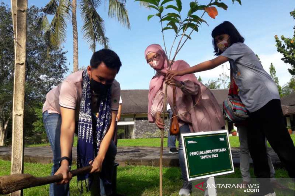 Pengunjung pertama Candi  Borobudur Tahun 2022 diajak tanam  pohon