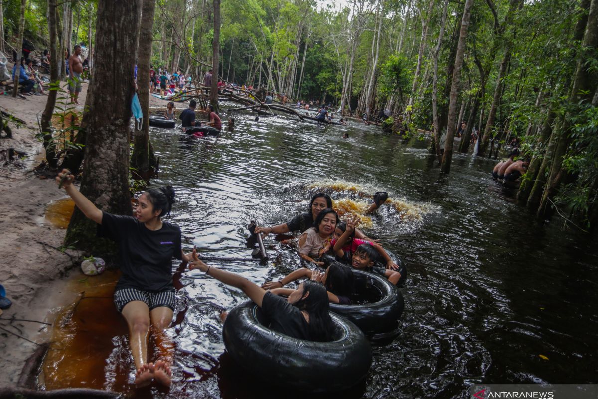 Upaya Pemerintah Tanjung Jabung Timur kelola hutan lindung gambut