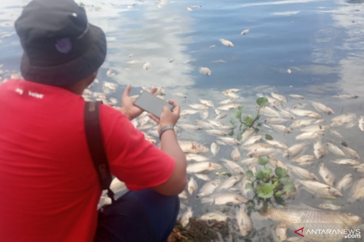Udara di Danau Maninjau berbau tak sedap pascakematian ikan