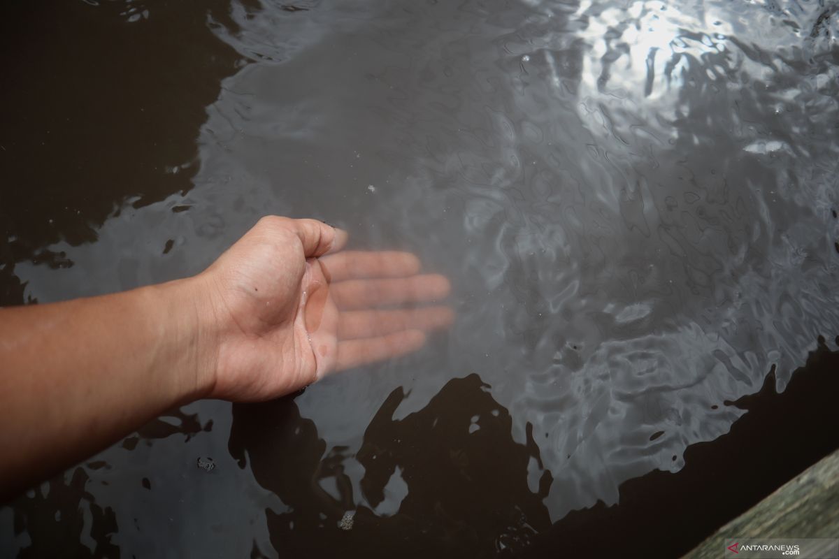 Sungai di Tapin berwarna hitam diduga karena limbah batu bara