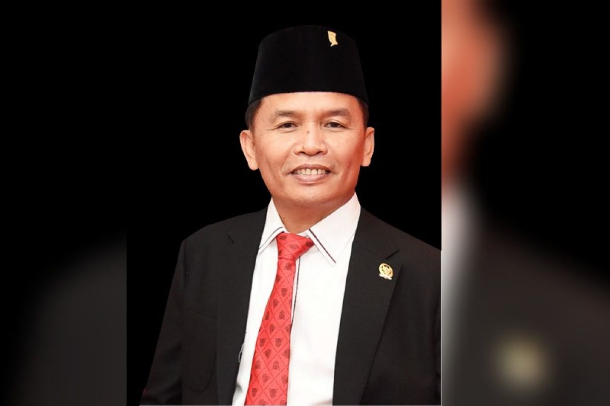 Anggota DPR Dapil Kalteng sayangkan ocehan Edy Mulyadi