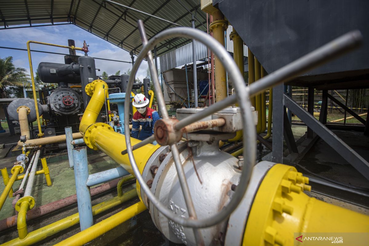 Pertamina temukan sumber minyak dan  gas bumi di Jambi