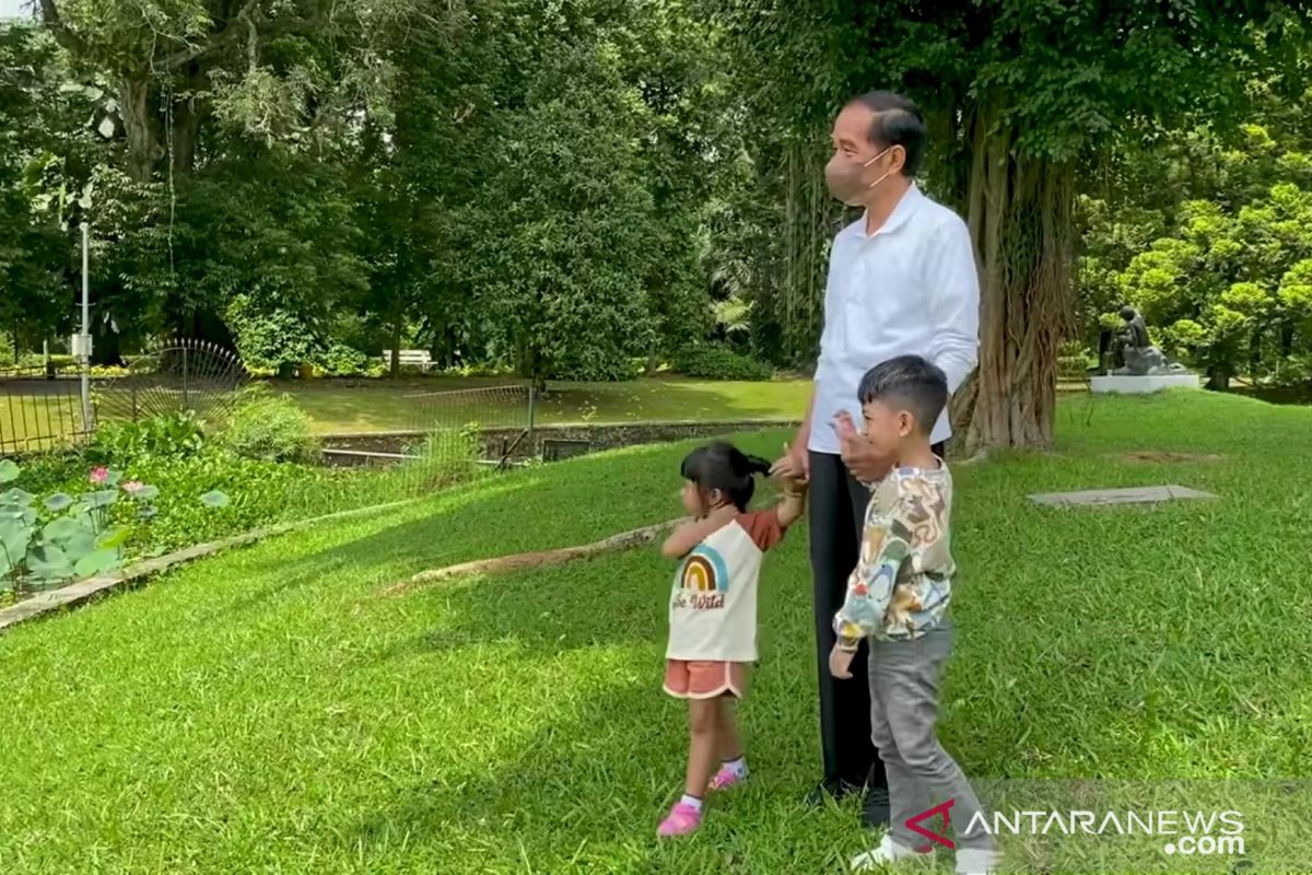 Presiden Jokowi isi Tahun Baru bersama Jan Ethes dan Sedah Mirah di Istana Bogor