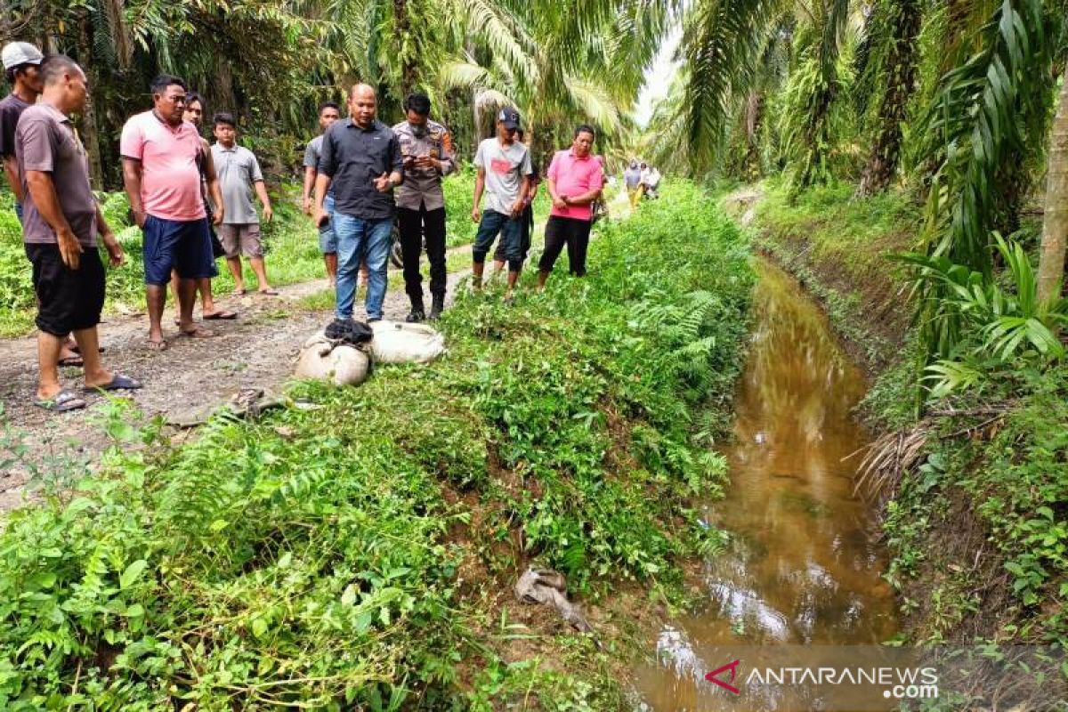 Warga Nagan Raya ditemukan meninggal dunia di parit kebun kelapa sawit, tubuhnya tertimpa motor