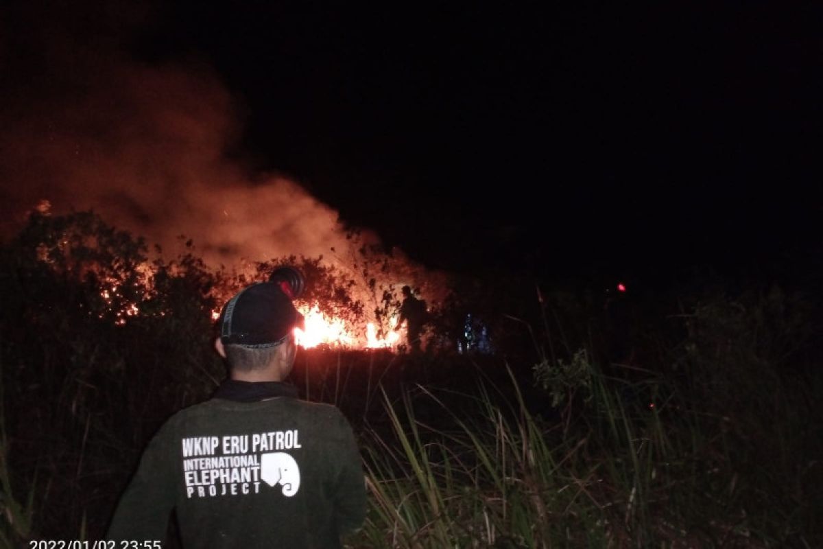 Kawasan hutan Way Kambas alami kebakaran