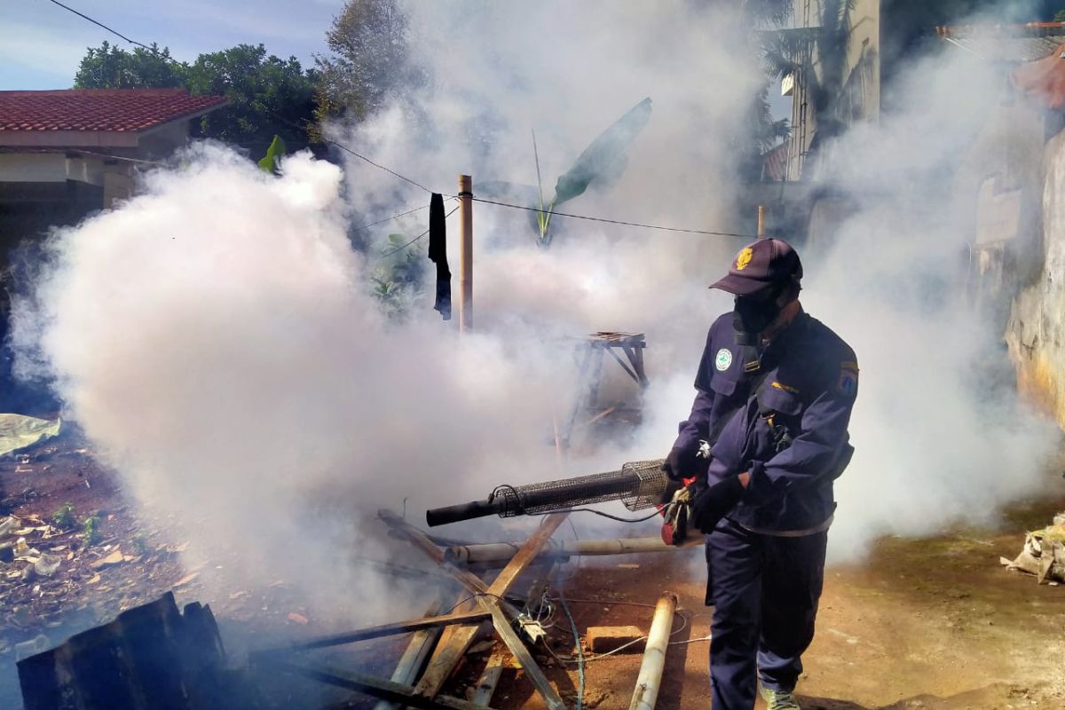 Warga RW 02 Cilangkap lakukan fogging menyusul tiga anak kena DBD