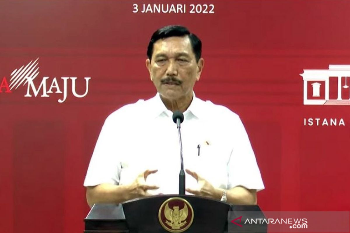 Luhut sebut Indoensia paling telaten tangani Covid-19 seperti RI