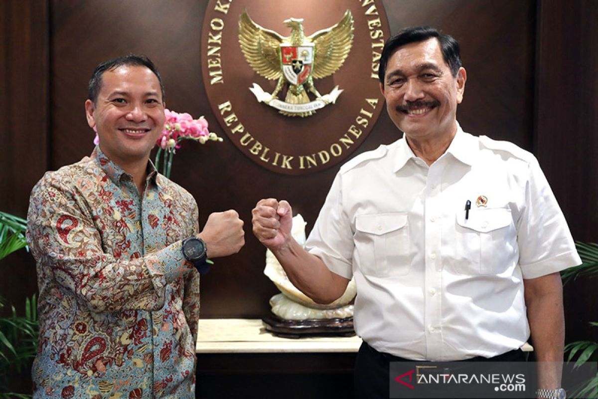 Luhut rekrut eks CEO Bukalapak, ajak lainnya mengabdi untuk negara