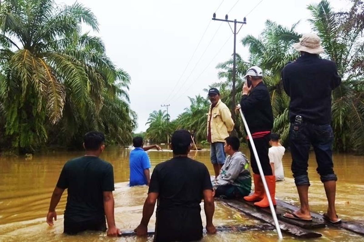 Terdampak banjir, 9.459 warga Aceh Tamiang mengungsi