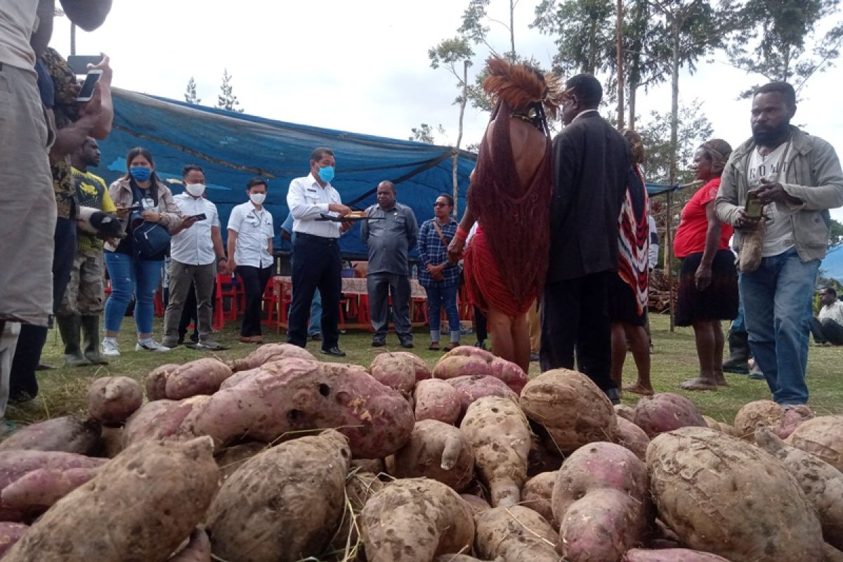 Pemkab Jayawijaya ajak warga mengurus identitas diri