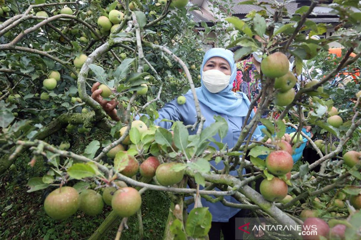 Khofifah komitmen tingkatkan indeks kebahagiaan masyarakat Jatim