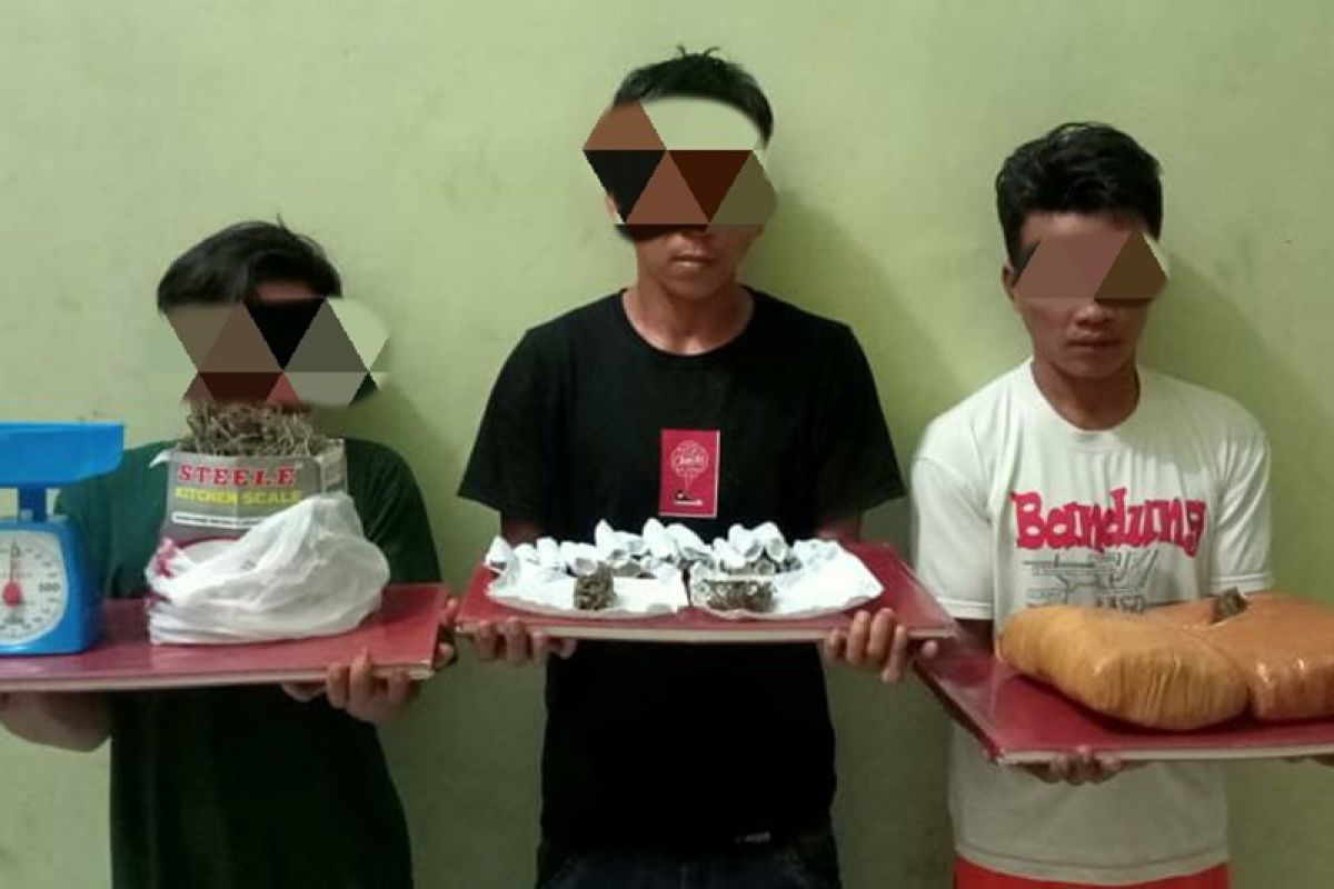 Polisi tangkap tiga pengedar dan amankan 2,6 kilogram ganja