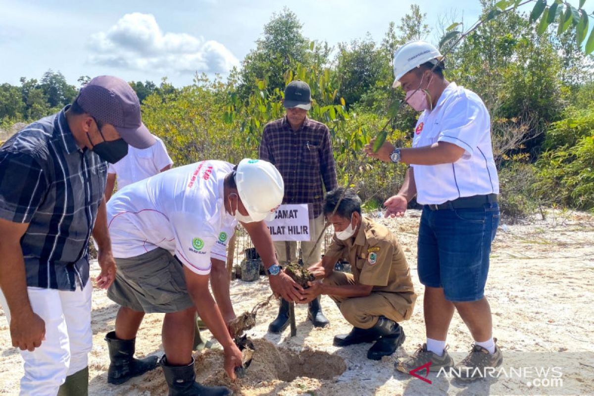 PGM gelar penanaman pohon di pesisir sungai Kapuas