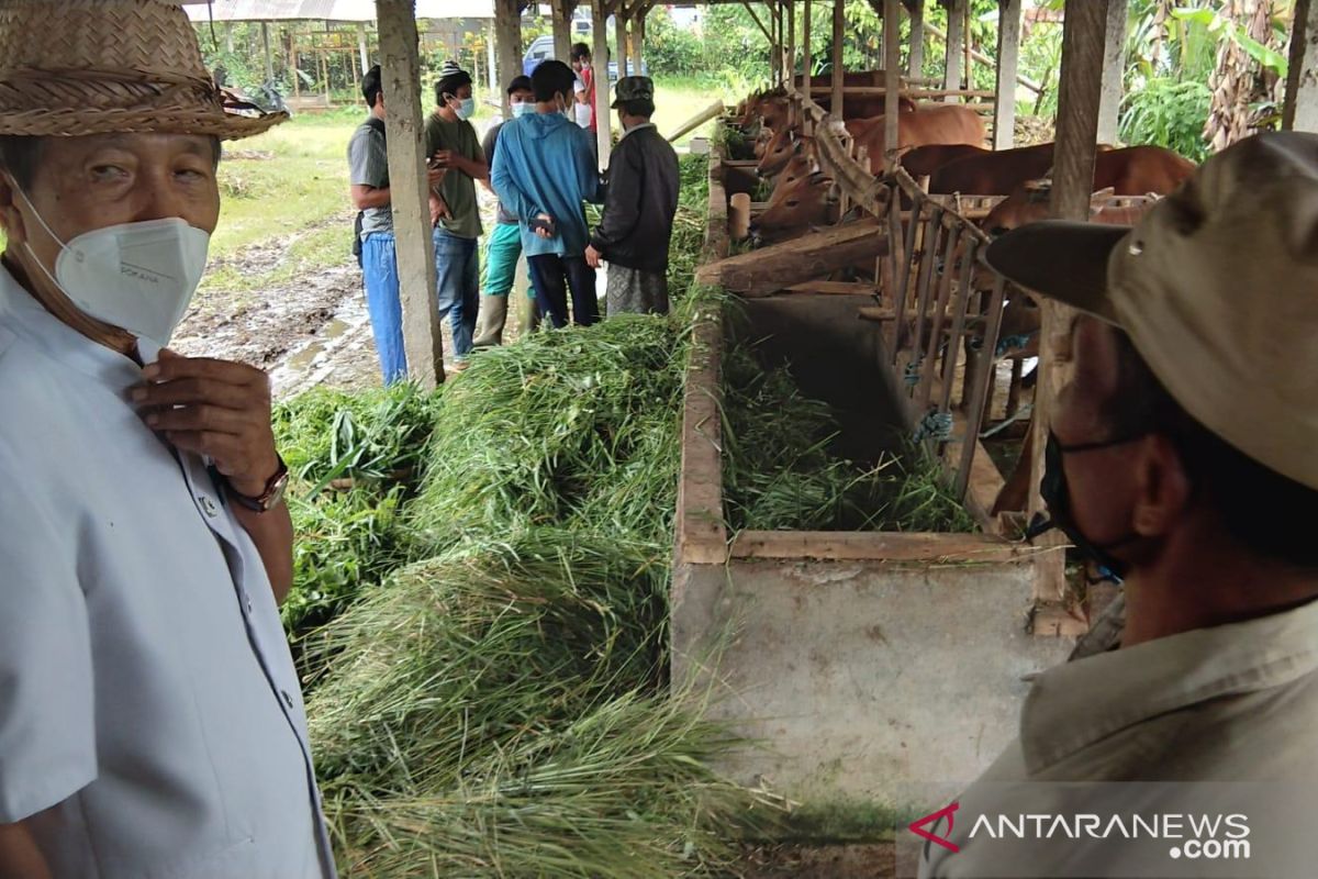 DPD: Simantri tingkatkan pendapatan petani Bali