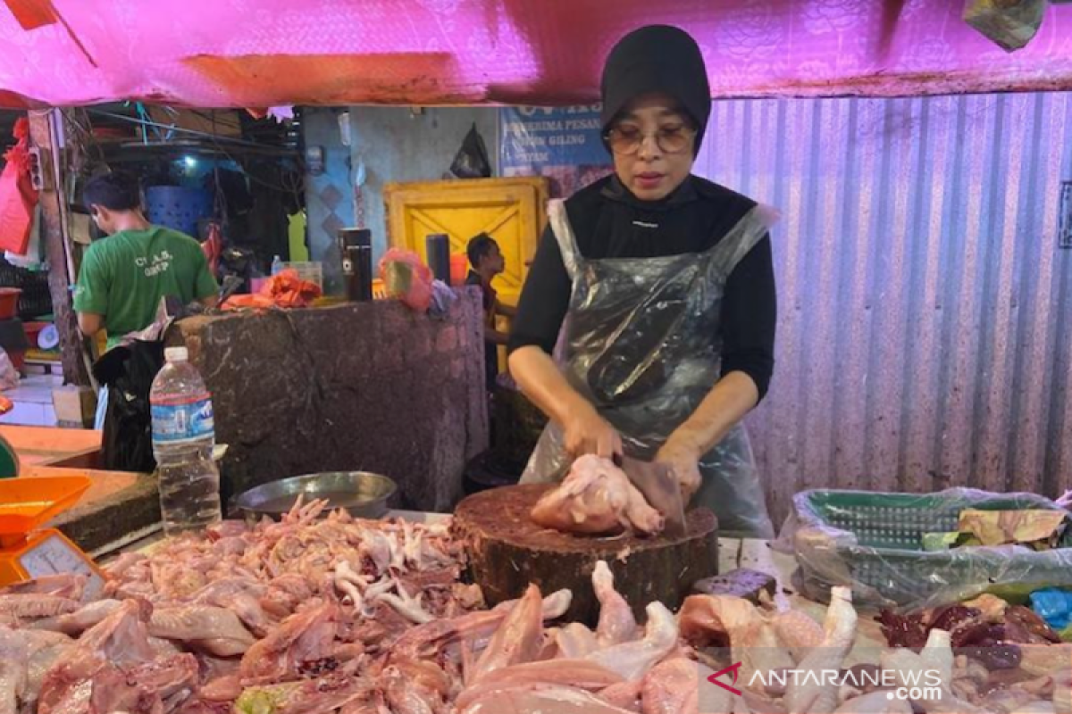 Tiga peternakan ayam di Palembang terpaksa gulung tikar