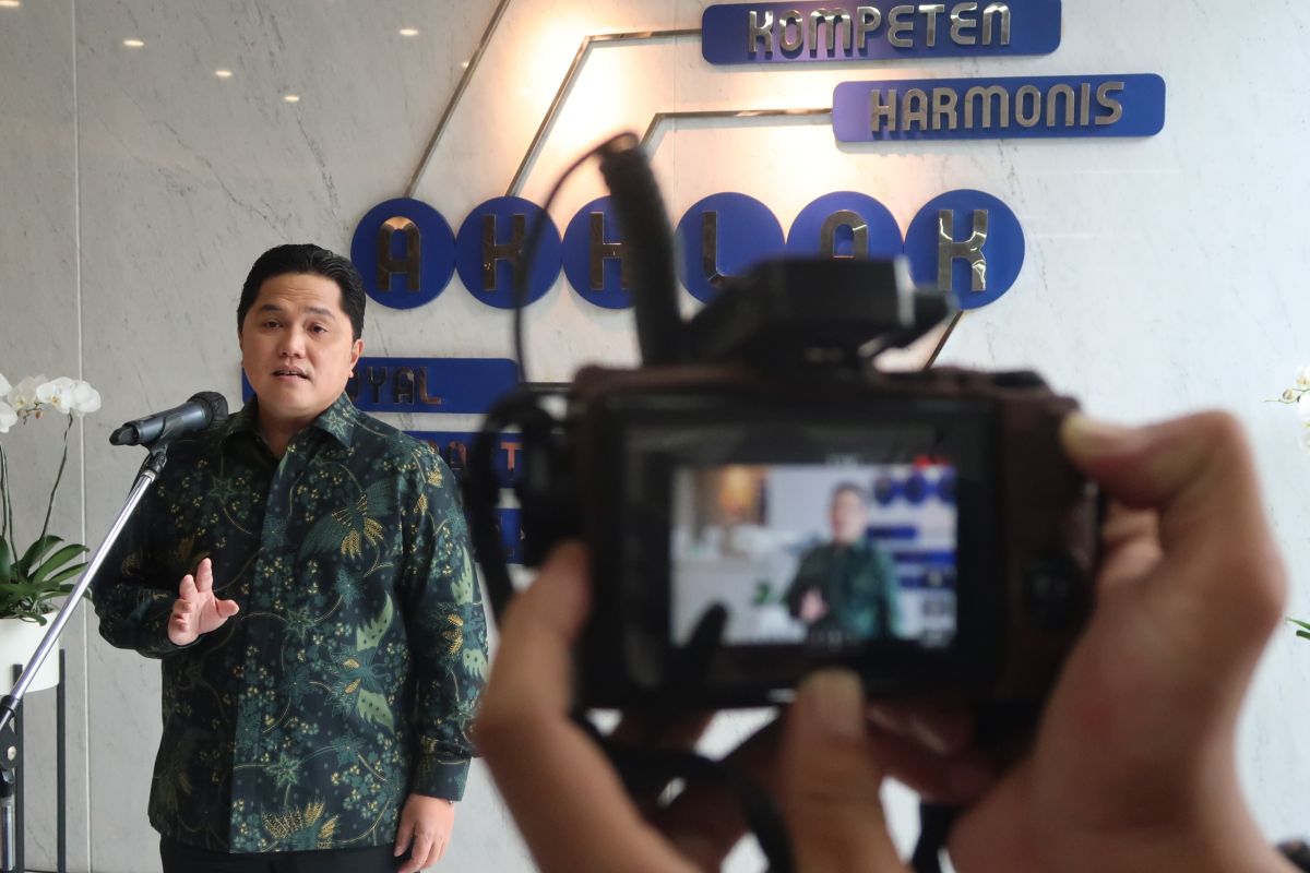 Krisis batu bara, Erick Thohir ganti Direktur Energi Primer PLN