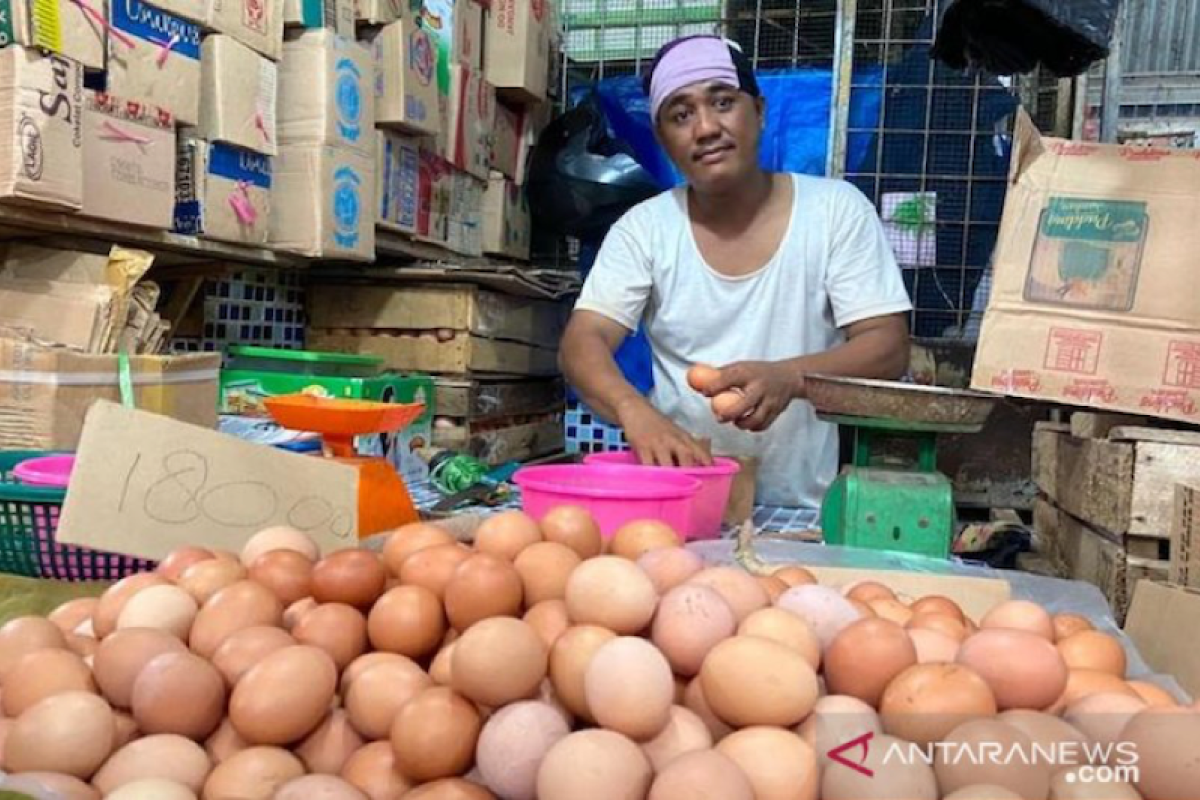 Kemarin, pasokan telur tercukupi hingga investasi unggulan di 2022