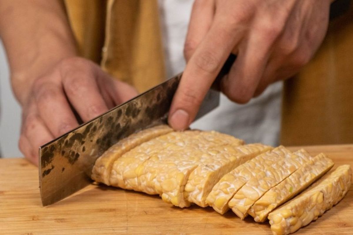 Benarkah pasien penyakit ginjal tak boleh makan tempe?