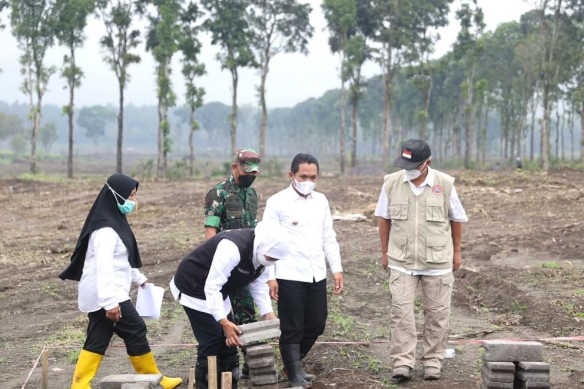 Pembersihan lahan sebagian lokasi huntara Lumajang tunggu panen cabai