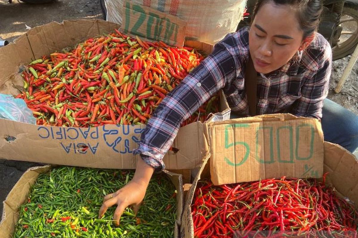 Harga cabai rawit di Palembang meroket jadi Rp65.000 per kilogram