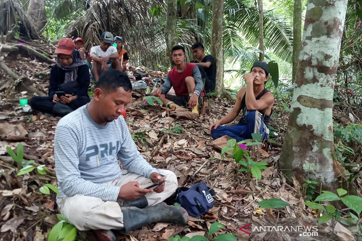 BKSDA berupaya evakuasi harimau di permukiman warga Maua Hilia Agam