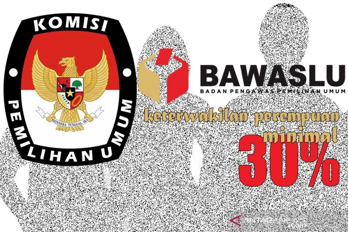 Pakar: Perkuat regulasi penuhi keterwakilan perempuan di KPU, Bawaslu