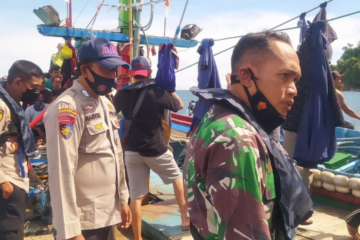 Pelaku penangkap lumba-lumba di perairan Pacitan diduga nelayan 