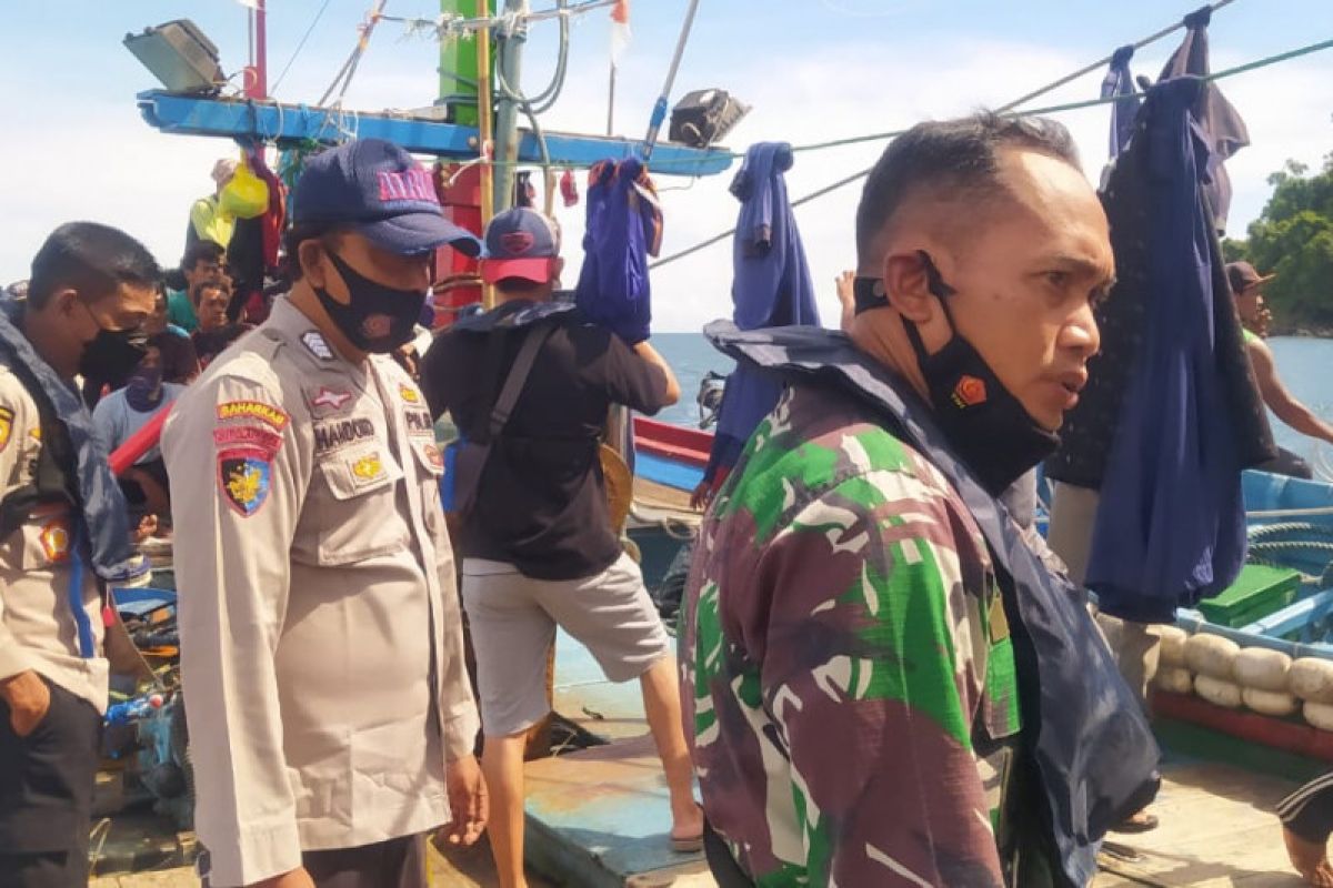 Polisi sebut empat lumba-lumba masih hidup dan dilepas ke laut