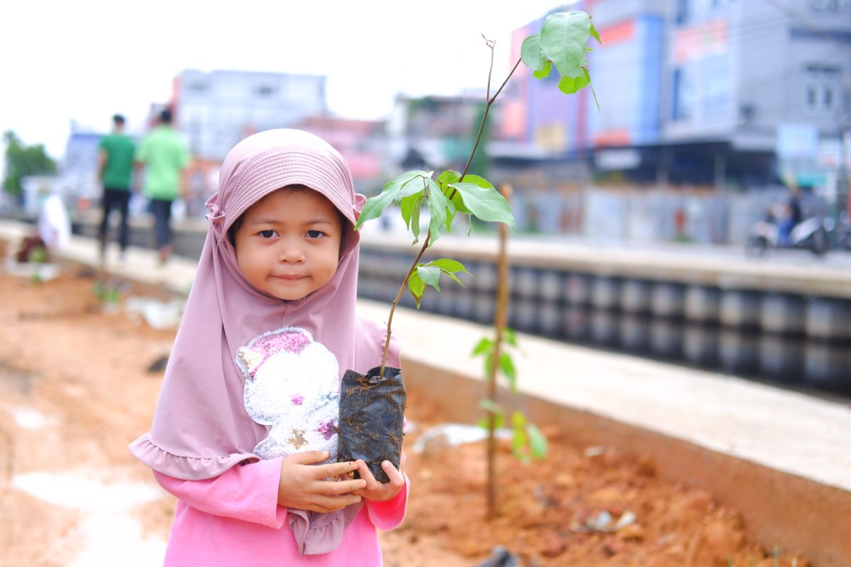 Semangat menanam pohon di Pontianak makin meningkat