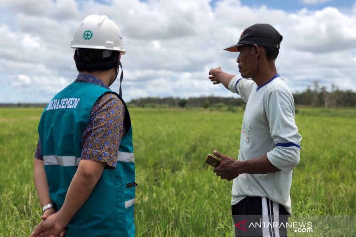 Semangat PLN dukung ekonomi masyarakat Papua