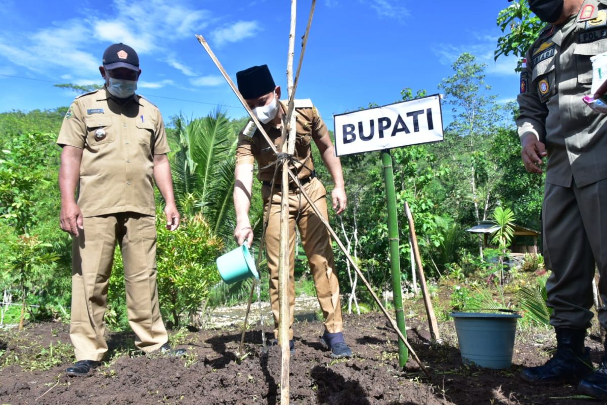 ASN Pemkab Trenggalek diwajibkan tanam pohon