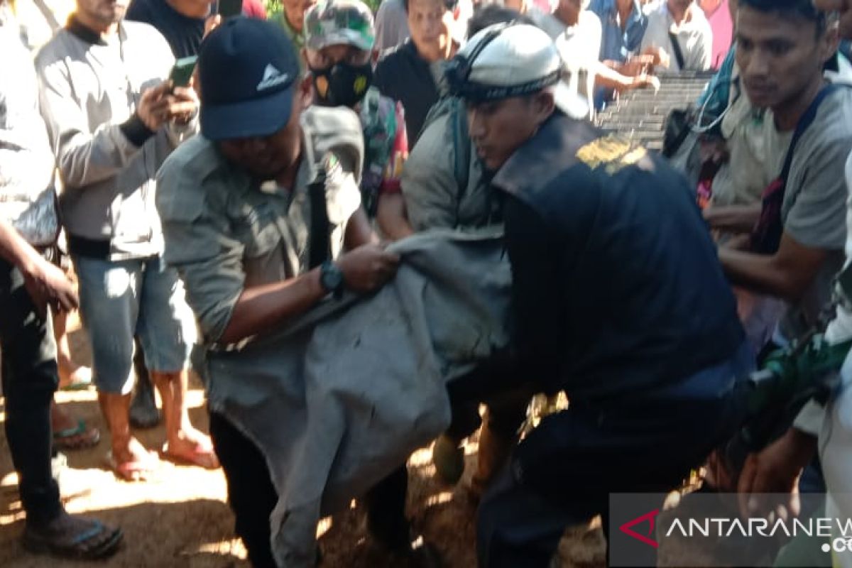 BKSDA Sumbar evakuasi harimau tertangkap di Agam ke PRHSD