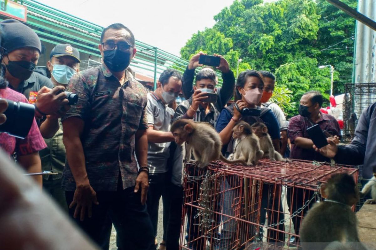 Distan Denpasar tertibkan penjual HPR