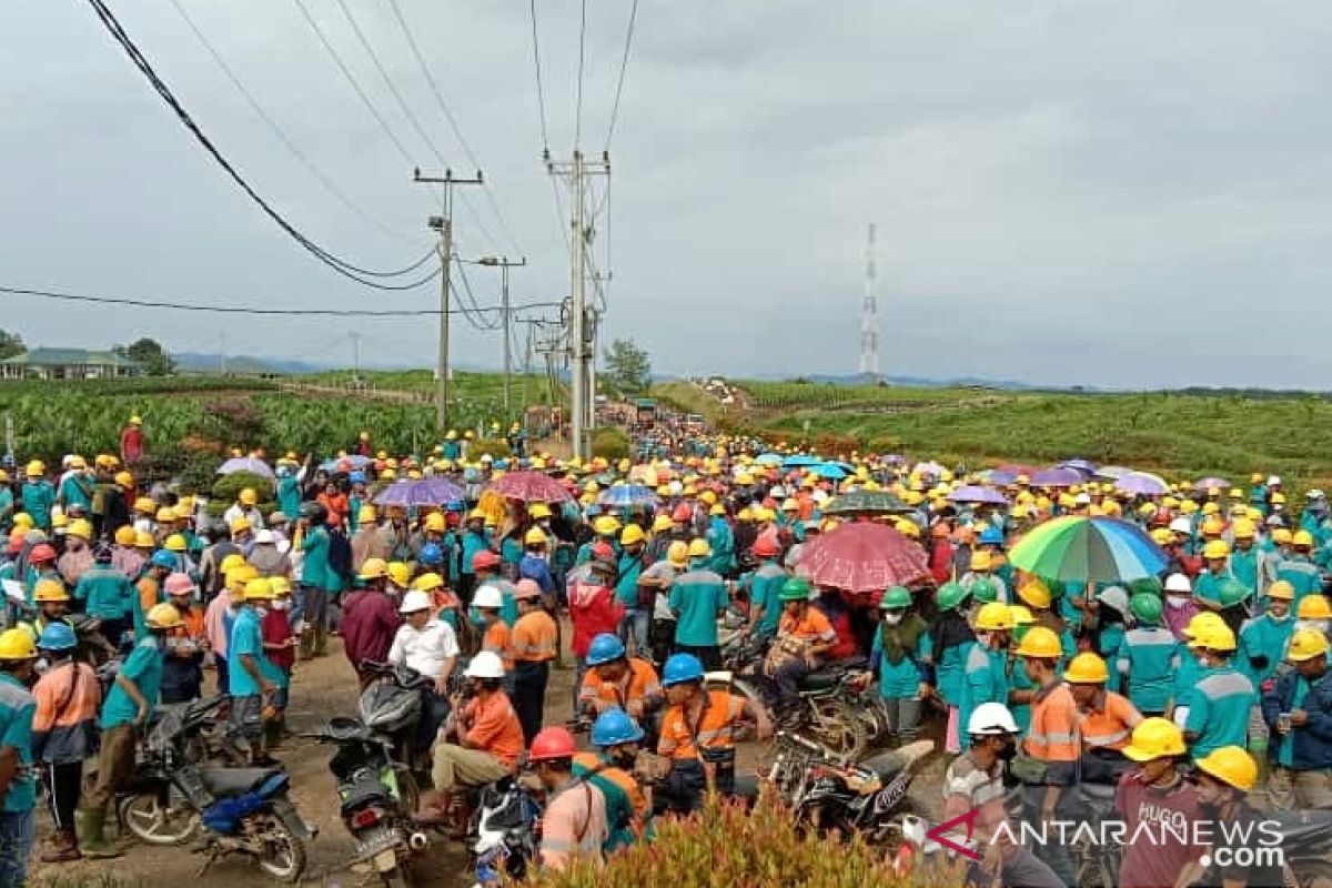 1.600 karyawan PT KSI di Solok Selatan mogok kerja