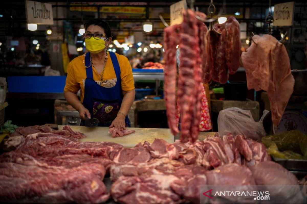 Thailand temukan kasus demam babi Afrika di pemotongan hewan