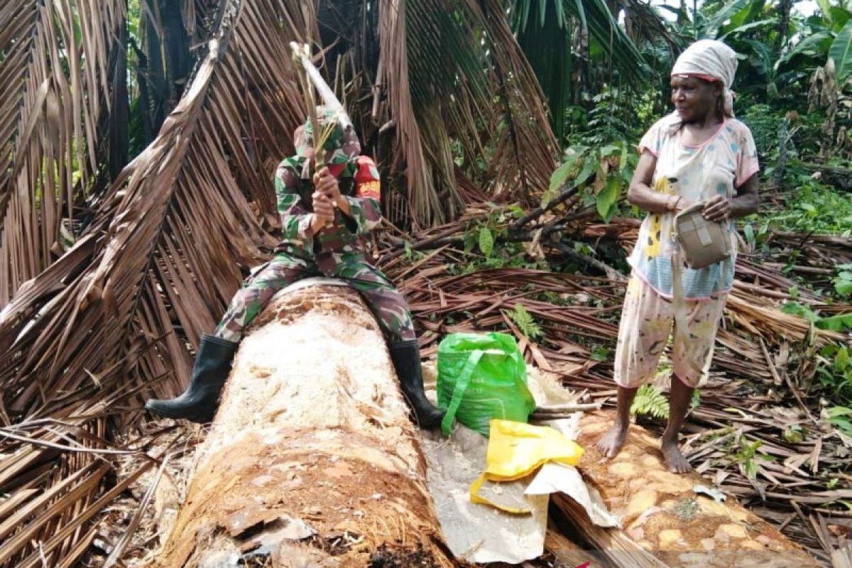TNI bantu mengolah pohon sagu warga Samanente Sarmi Papua
