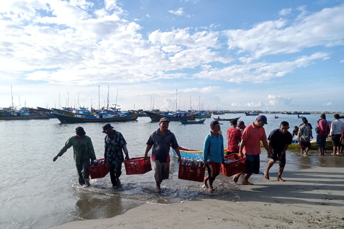 Cuaca buruk pengaruhi tangkapan ikan nelayan Abdya