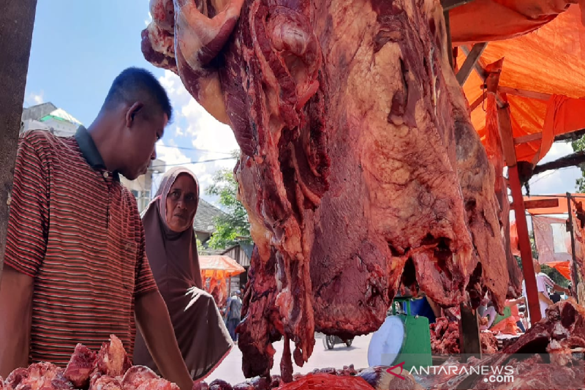 Gapuspindo: Peningkatan populasi sapi tak turunkan defisit daging