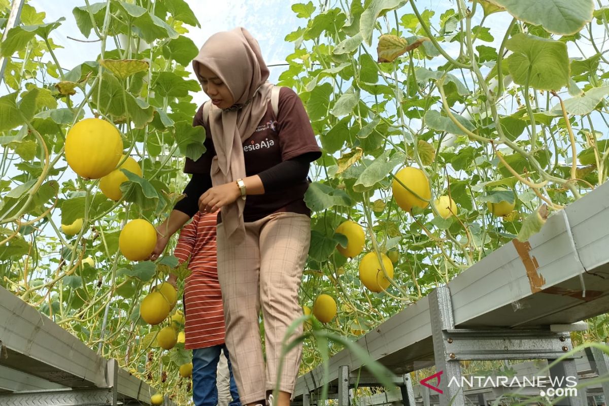 Desa Wisata Melon Lombok Barat siap menampung penonton MotoGP