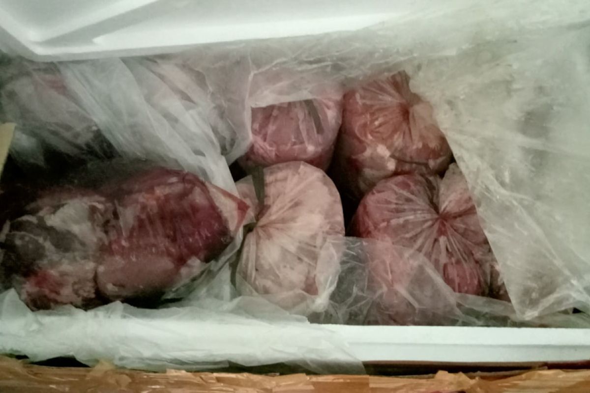 Karantina Lampung musnahkan 450 kg daging celeng ilegal