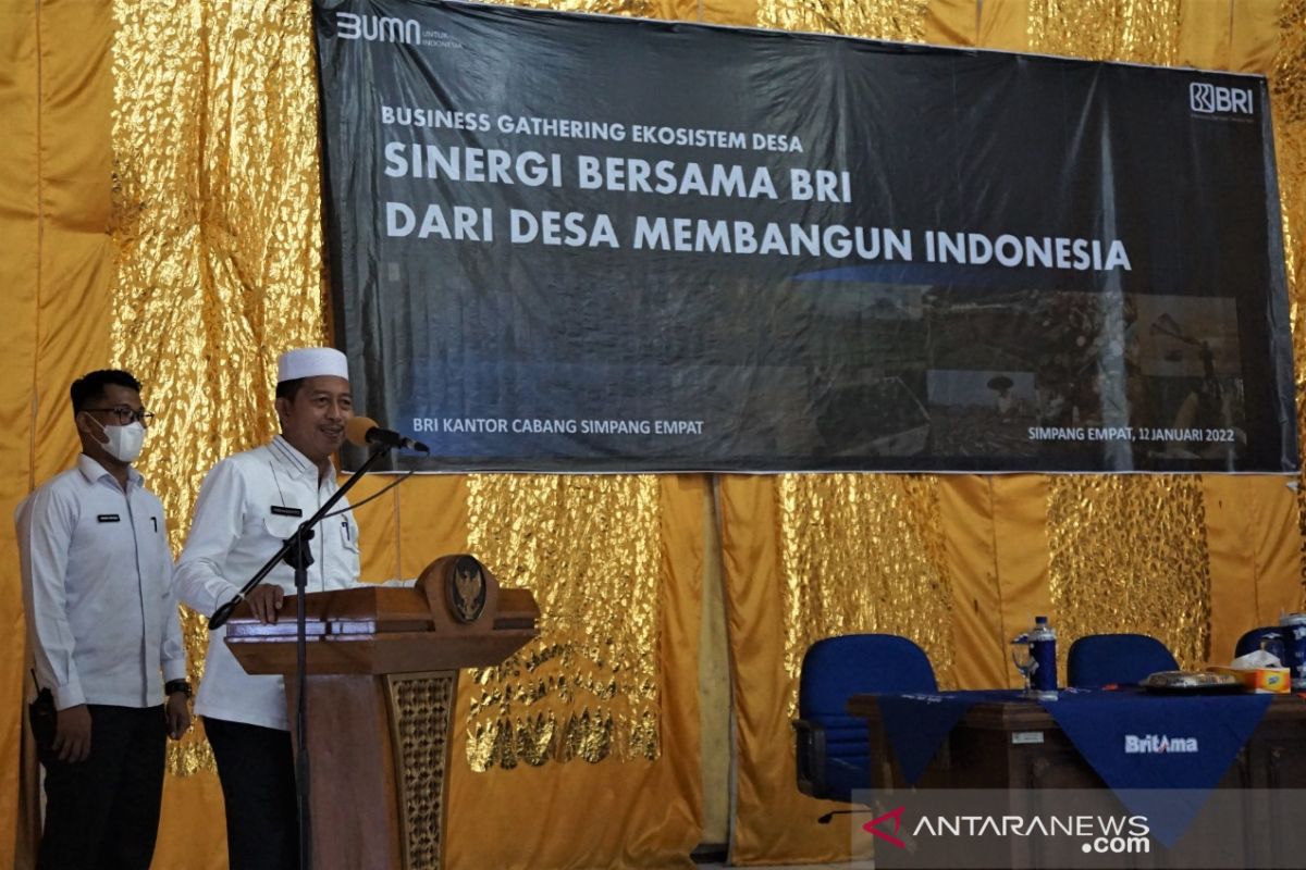 Pemkab Pasaman Barat-BRI bersinergi berdayakan UMKM