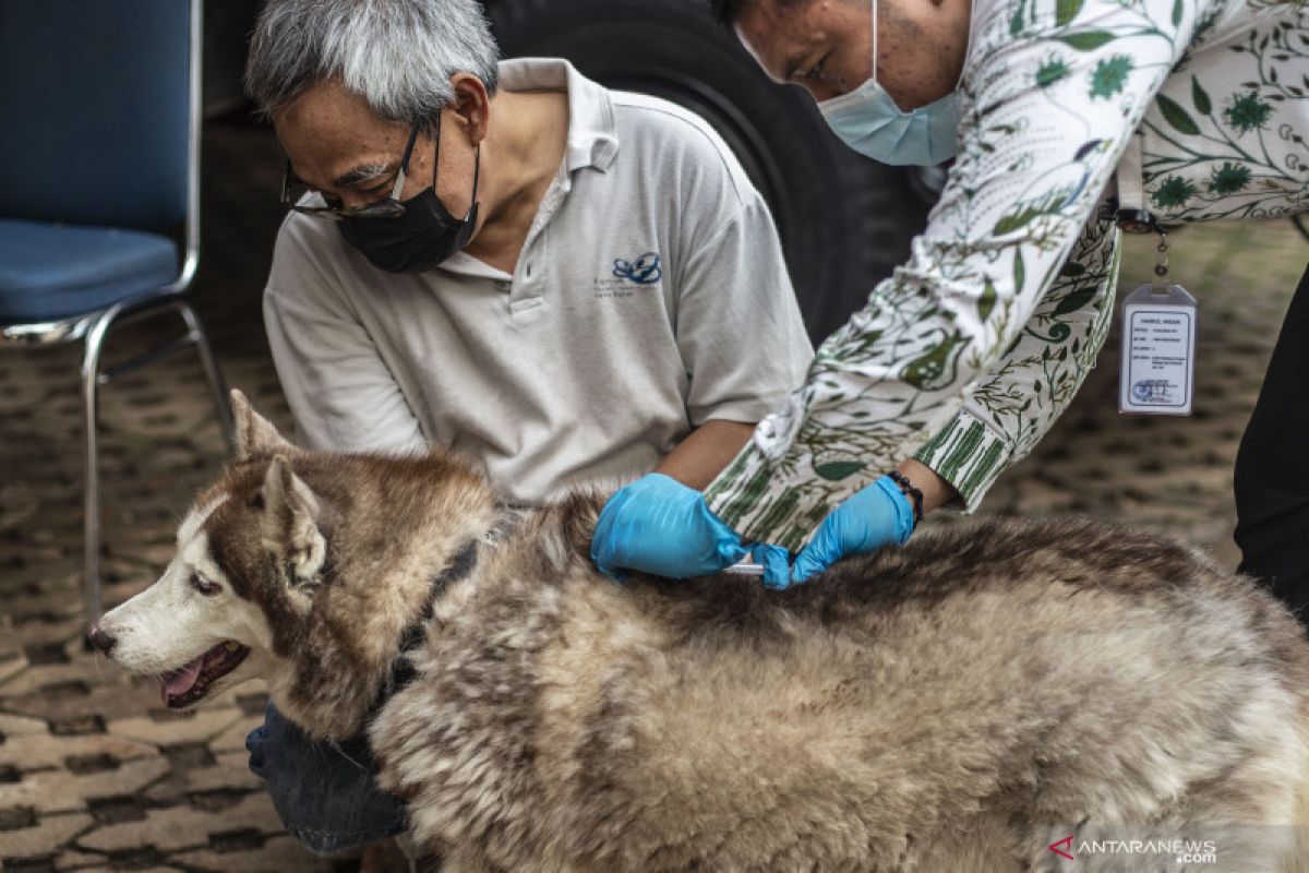 Sudin KPKP Jakpus gelar vaksinasi rabies gratis selama tiga hari