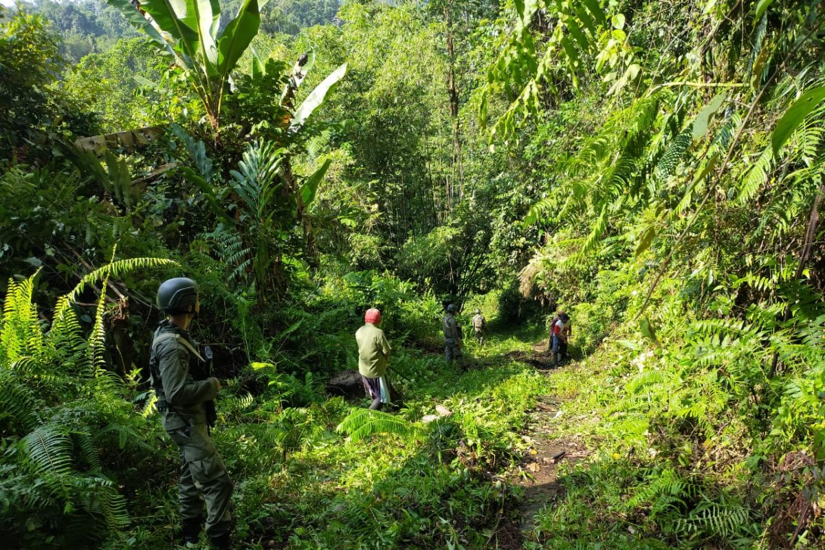 Cari sisa DPO, Satgas sisir wilayah hutan Sigi hingga Lembah Napu Poso
