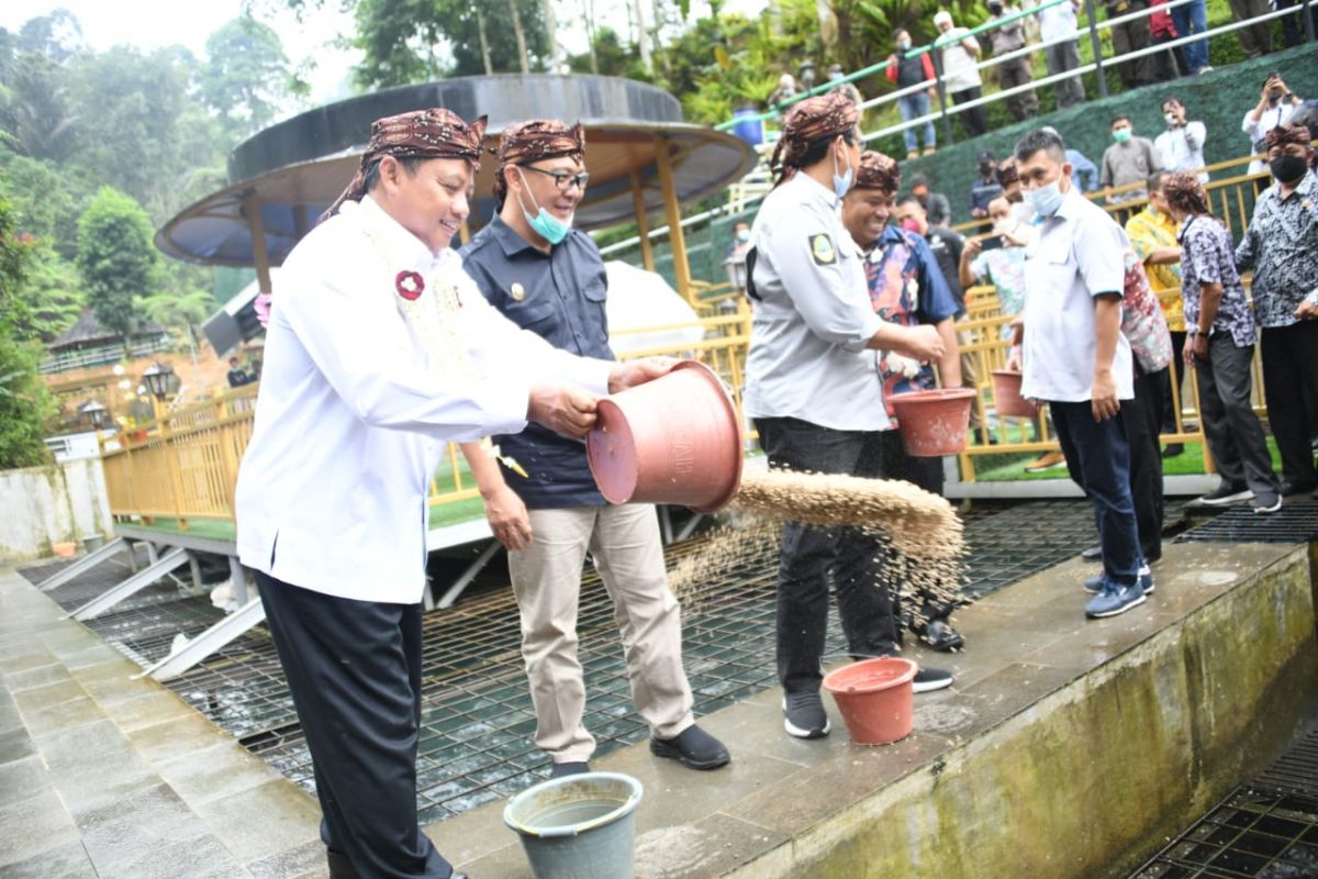 Menyulap eks pertambangan liar jadi wisata alam