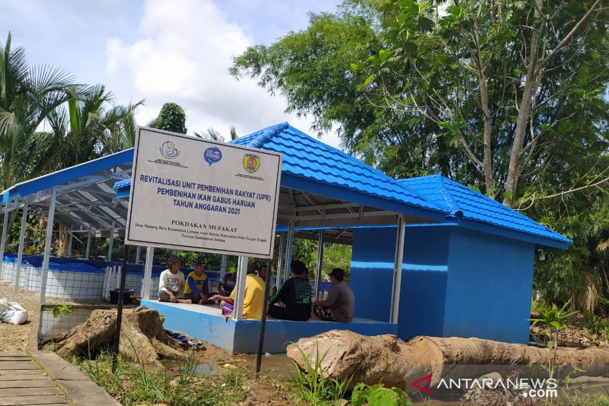 HST's Mahang Baru inaugurated as Haruan Village in Indonesia