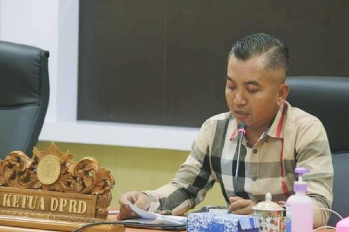 Ketua DPRD Seruyan minta pemkab optimalkan pajak parkir