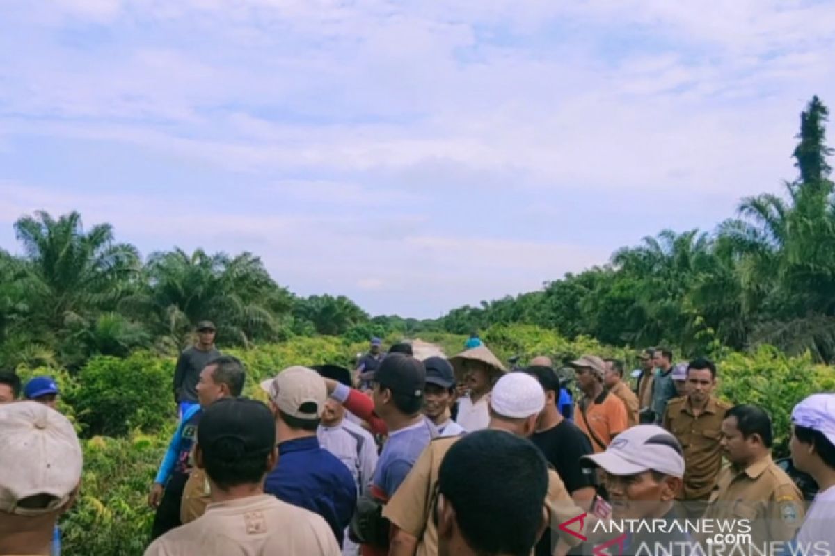 Pemkab Siak tidak lakukan penilaian usaha perkebunan PT DSI selama enam tahun