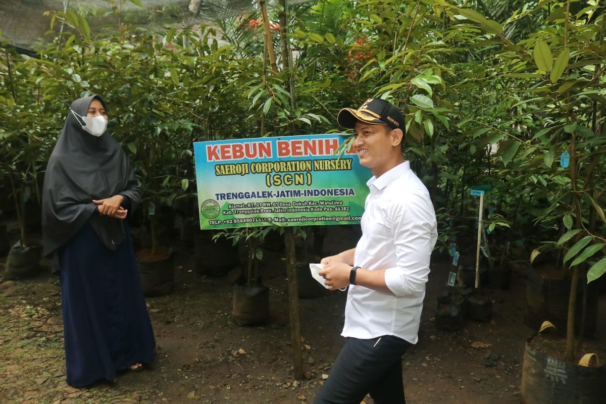 Permintaan bibit durian Ripto meningkat berkat video Presiden Jokowi